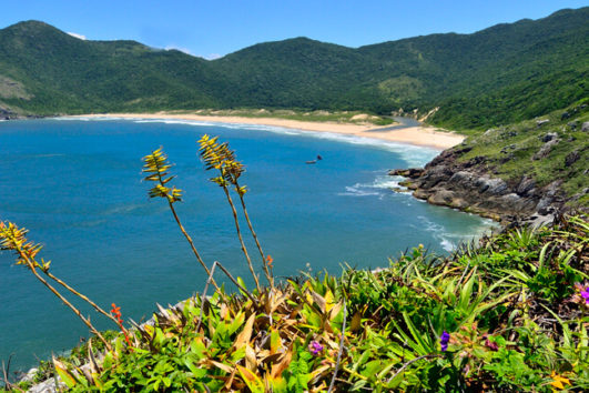 13/10/24 Lagoinha do Leste + Morro da Coroa - Temporada das Baleias Franca