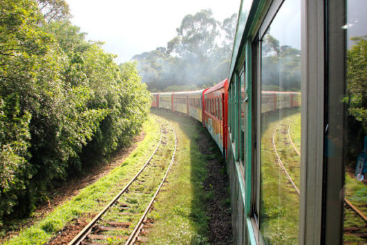 Trem Curitiba x Morretes - Camarote