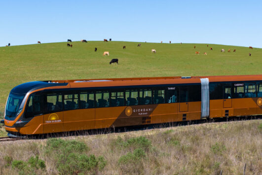Trem do Pampa - RS